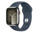 Apple Watch 9 41/Silver Steel/Storm Blue Sport Band M/L LTE 1180439 фото 1