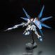 Модель для сборки Bandai RG 1/144 STRIKE FREEDOM GUNDAM EURO_1353106 фото 6