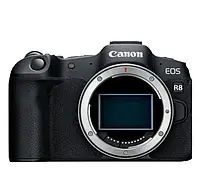 Canon EOS R8 Body 1179999 фото