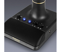 Marantz AVS-Audio-Video Streamer 1170333 фото