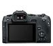 Canon EOS R8 Body 1179999 фото 1