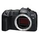 Canon EOS R8 Body 1179999 фото 2