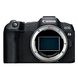 Canon EOS R8 Body 1179999 фото 6