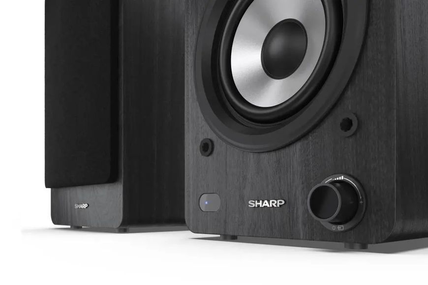 Sharp Cp-Ss30 Черные динамики EURO_1275116 фото