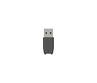 Synology Beedrive 1 ТБ SSD USB-C 1161302 фото