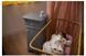 Philips Avent Video Premium Full HD дитячий монітор SCD923/26 EURO_1256268 фото 6
