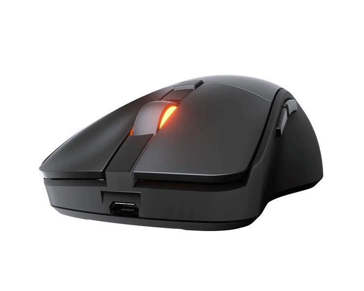 Игровая мышь Cougar Surpassion RX Черная EURO_1288159 фото